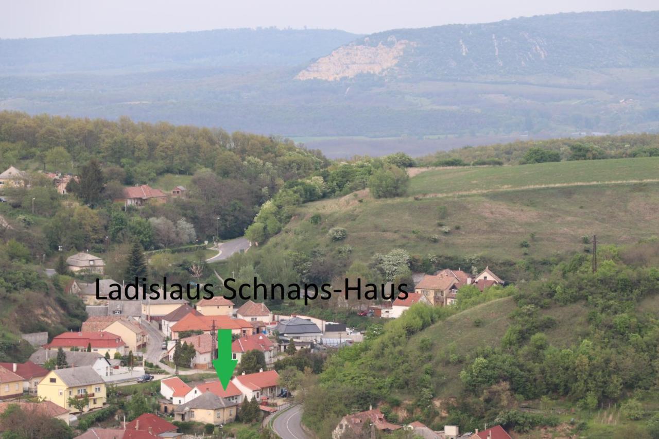 Ladislaus Schnaps-Haus Falusi Vendégház Csolnok Exterior foto