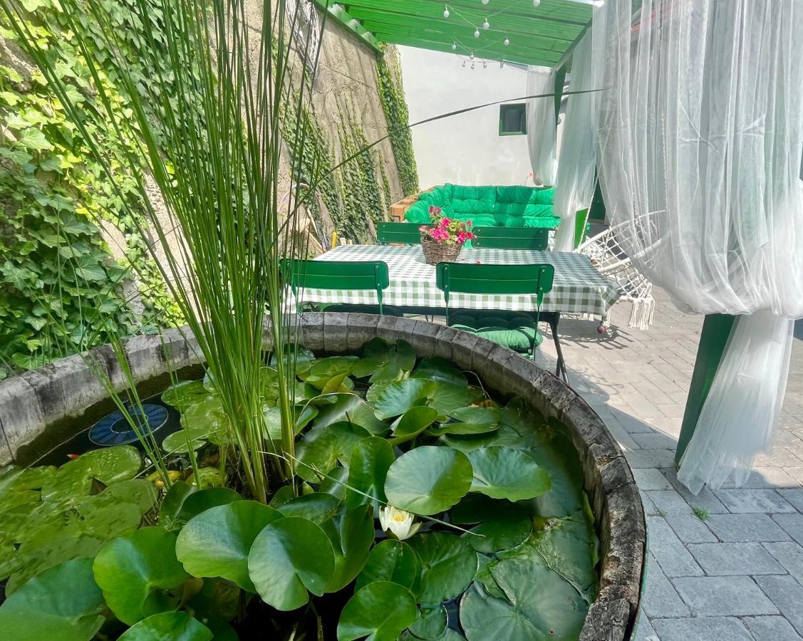 Ladislaus Schnaps-Haus Falusi Vendégház Csolnok Exterior foto