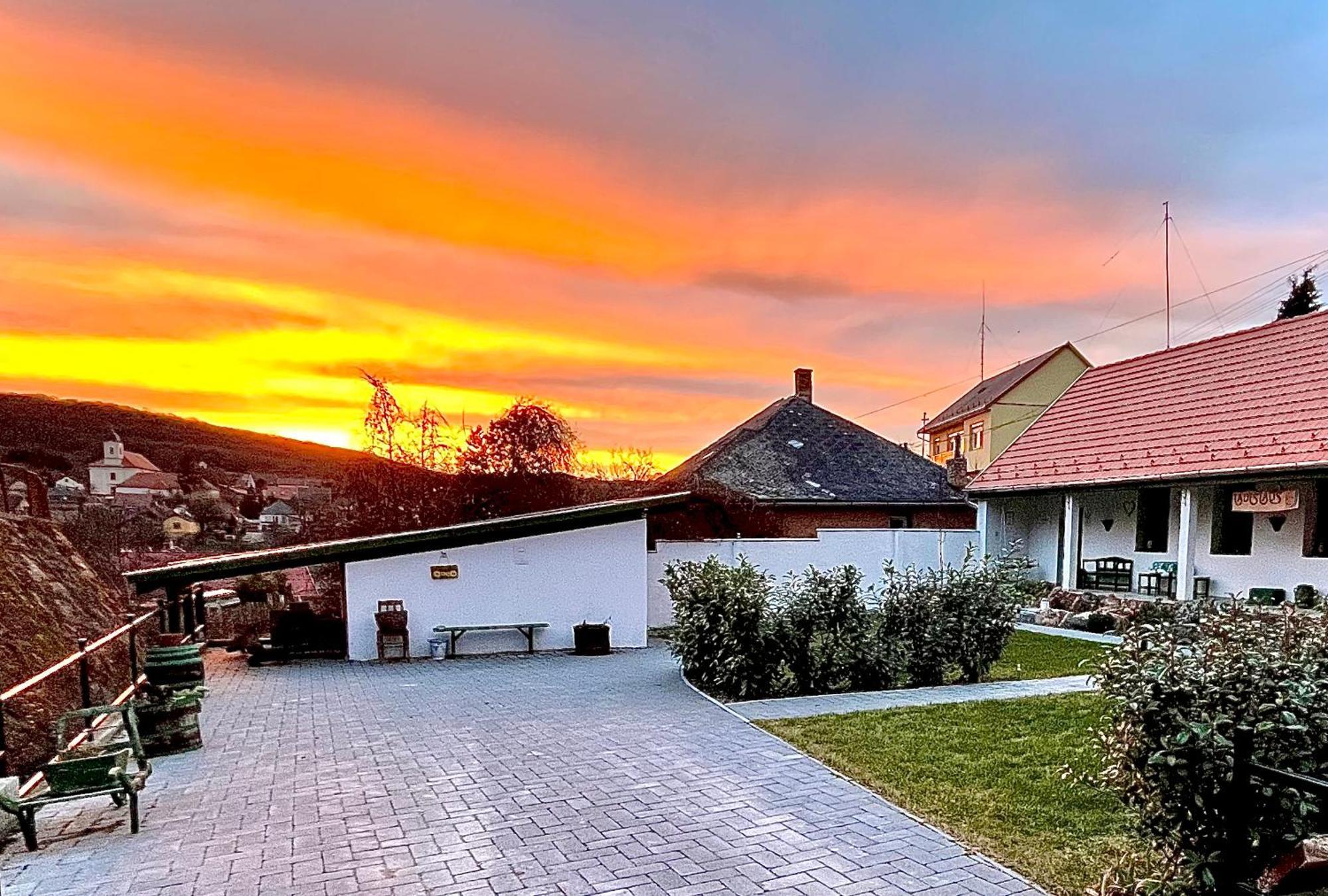 Ladislaus Schnaps-Haus Falusi Vendégház Csolnok Exterior foto